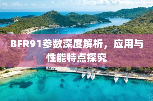 BFR91参数深度解析，应用与性能特点探究