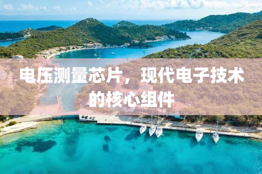 电压测量芯片，现代电子技术的核心组件