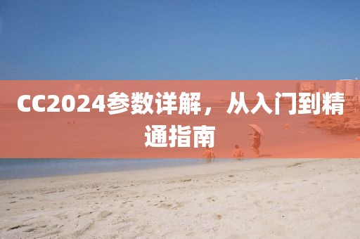 CC2024参数详解，从入门到精通指南