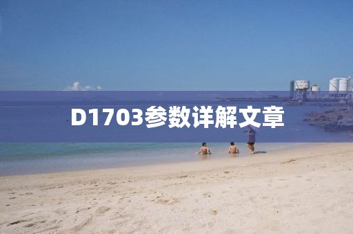 D1703参数详解文章