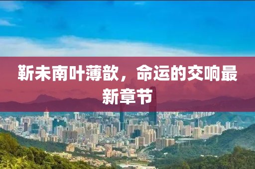 靳未南叶薄歆，命运的交响最新章节