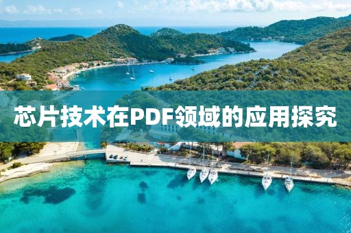 芯片技术在PDF领域的应用探究