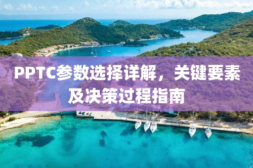PPTC参数选择详解，关键要素及决策过程指南