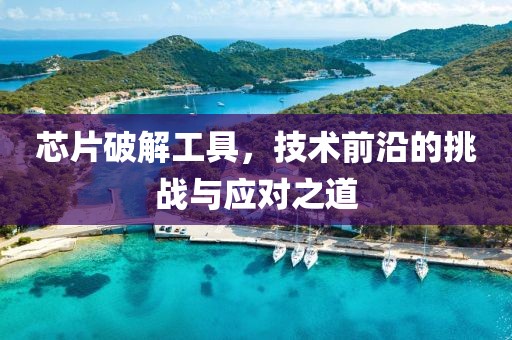 芯片破解工具，技术前沿的挑战与应对之道