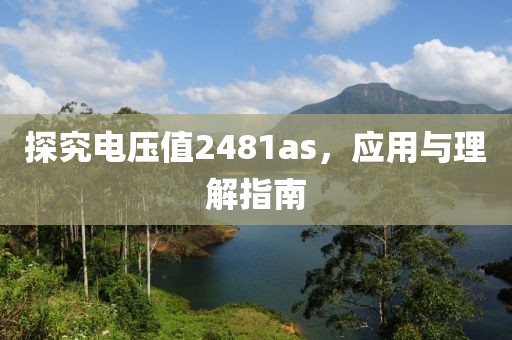 探究电压值2481as，应用与理解指南