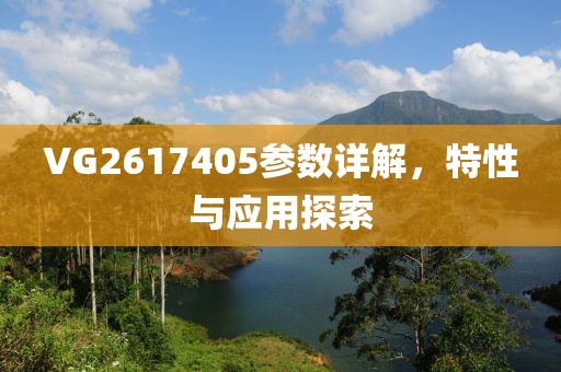 VG2617405参数详解，特性与应用探索