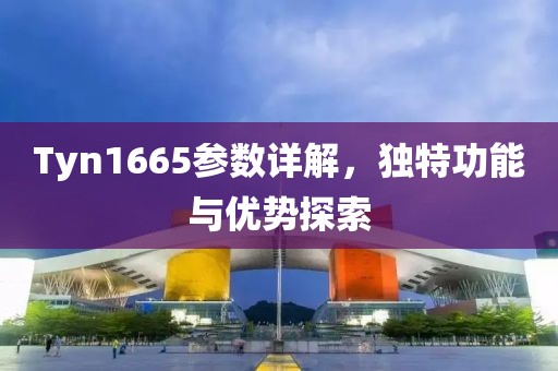 Tyn1665参数详解，独特功能与优势探索