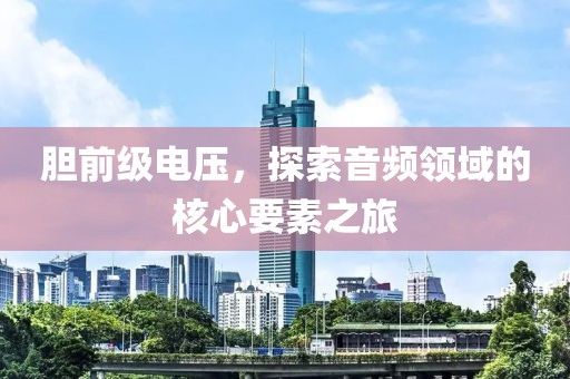胆前级电压，探索音频领域的核心要素之旅