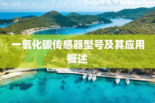 一氧化碳传感器型号及其应用概述