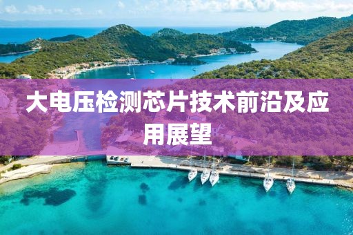 大电压检测芯片技术前沿及应用展望