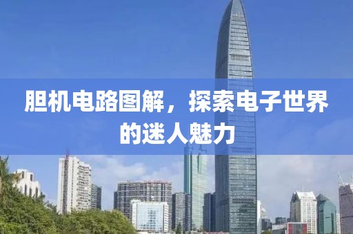 胆机电路图解，探索电子世界的迷人魅力