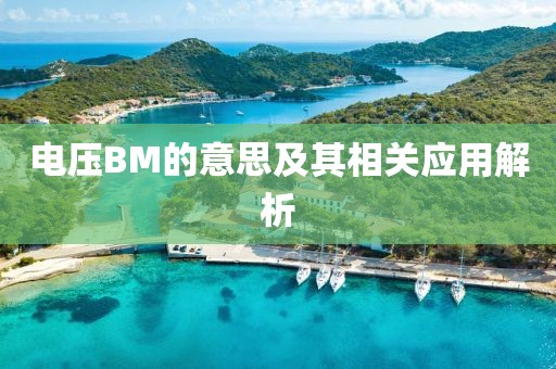 电压BM的意思及其相关应用解析