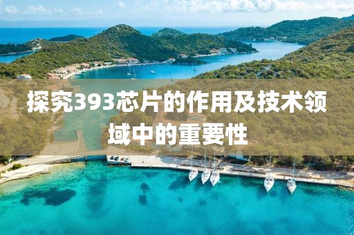 探究393芯片的作用及技术领域中的重要性