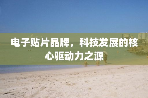 花开无言 第13页