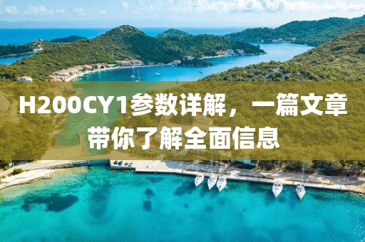 H200CY1参数详解，一篇文章带你了解全面信息