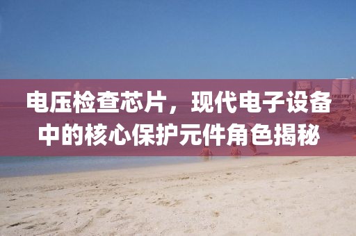 失魂症 第13页