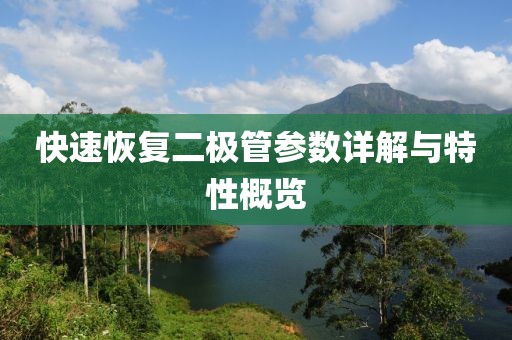 电磁流量计 第167页