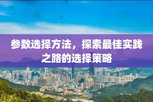 参数选择方法，探索最佳实践之路的选择策略
