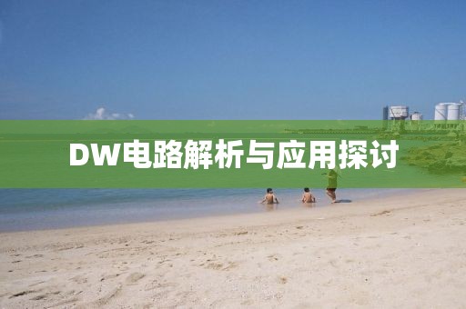 DW电路解析与应用探讨