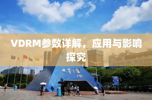 VDRM参数详解，应用与影响探究