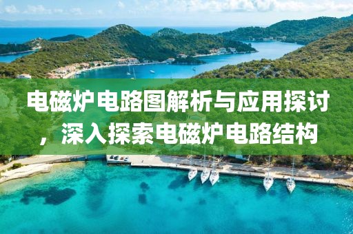 电磁炉电路图解析与应用探讨，深入探索电磁炉电路结构