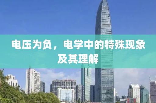 寻梦人 第11页