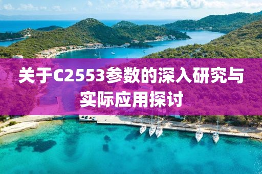 关于C2553参数的深入研究与实际应用探讨