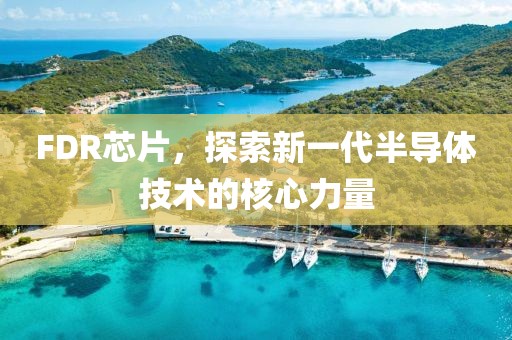 FDR芯片，探索新一代半导体技术的核心力量