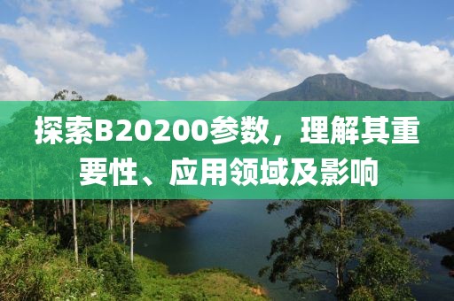 探索B20200参数，理解其重要性、应用领域及影响