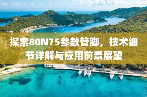 探索80N75参数管脚，技术细节详解与应用前景展望