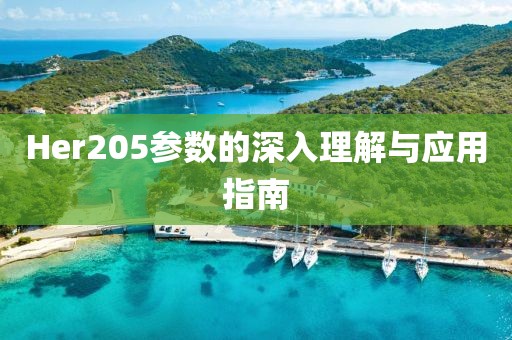 Her205参数的深入理解与应用指南