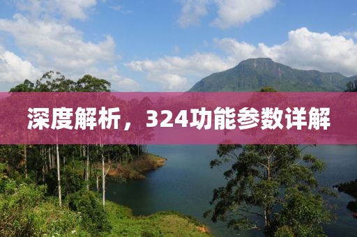深度解析，324功能参数详解