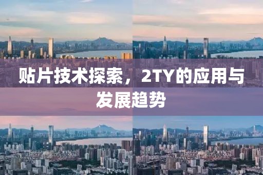 贴片技术探索，2TY的应用与发展趋势