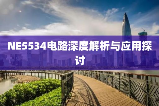 NE5534电路深度解析与应用探讨
