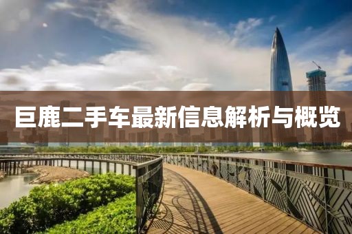 巨鹿二手车最新信息解析与概览