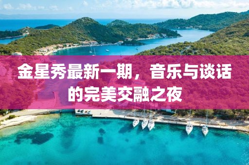 金星秀最新一期，音乐与谈话的完美交融之夜