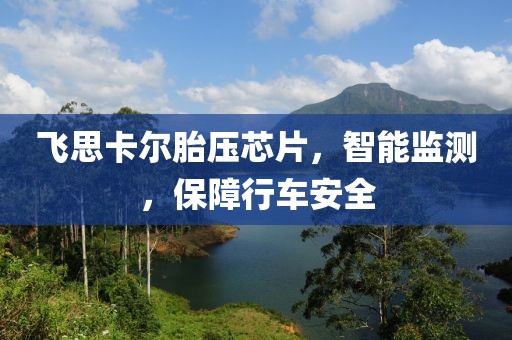 飞思卡尔胎压芯片，智能监测，保障行车安全