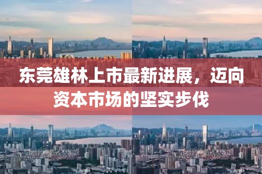 东莞雄林上市最新进展，迈向资本市场的坚实步伐