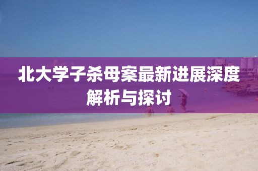 北大学子杀母案最新进展深度解析与探讨