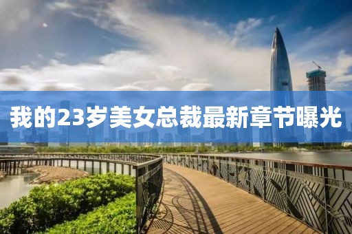 我的23岁美女总裁最新章节曝光