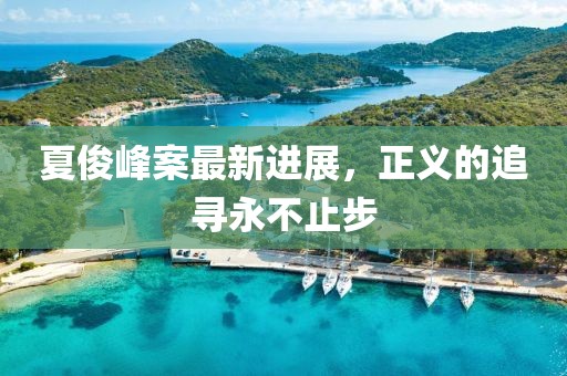 夏俊峰案最新进展，正义的追寻永不止步