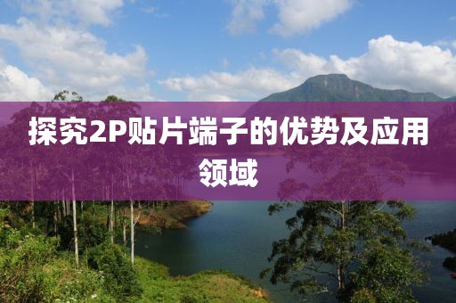 探究2P贴片端子的优势及应用领域