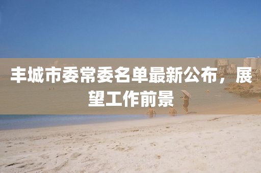 丰城市委常委名单最新公布，展望工作前景