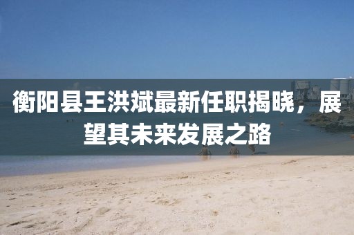衡阳县王洪斌最新任职揭晓，展望其未来发展之路