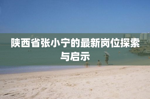 陕西省张小宁的最新岗位探索与启示