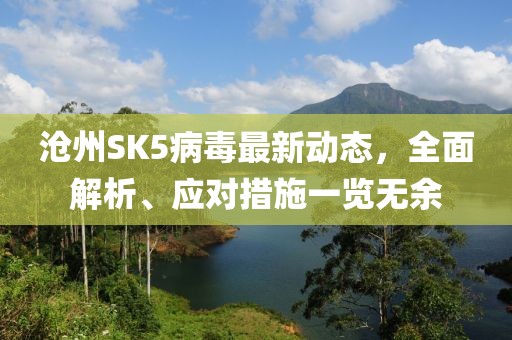 沧州SK5病毒最新动态，全面解析、应对措施一览无余