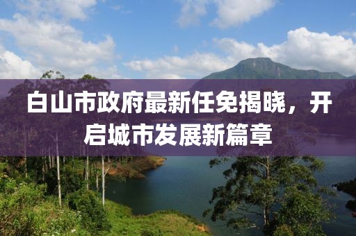 单晶硅压力变送器 第1641页
