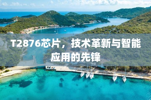 T2876芯片，技术革新与智能应用的先锋
