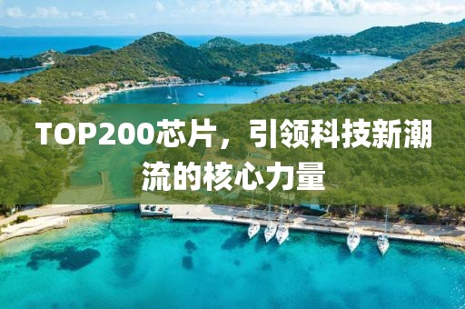 TOP200芯片，引领科技新潮流的核心力量