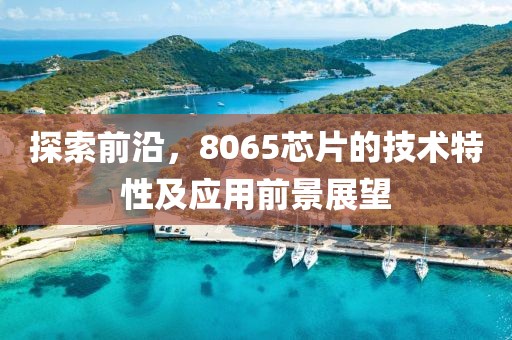 探索前沿，8065芯片的技术特性及应用前景展望